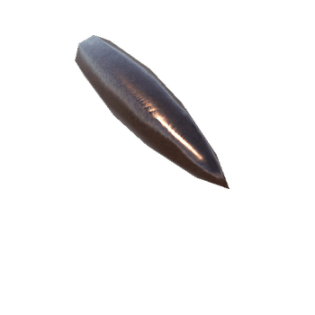 5,45 x 39 mm Bullet_1_2